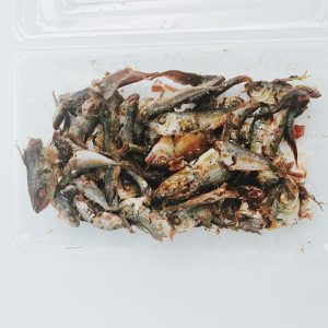 アジのつくだ煮